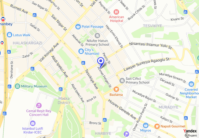 0083 Ahmet Fetgeri-Camii Sokak