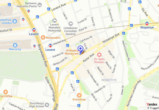 0106 Nispetiye Caddesi