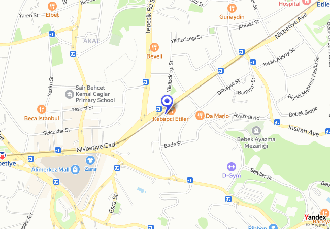 0196 Tamburi Ali Efendi