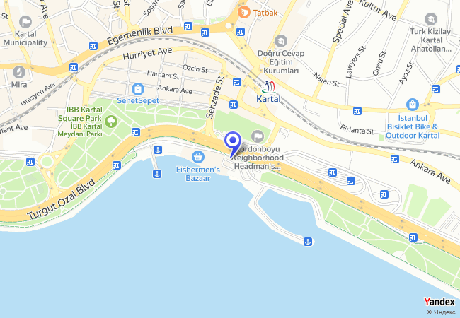 0248 Kartal Balıkçılar