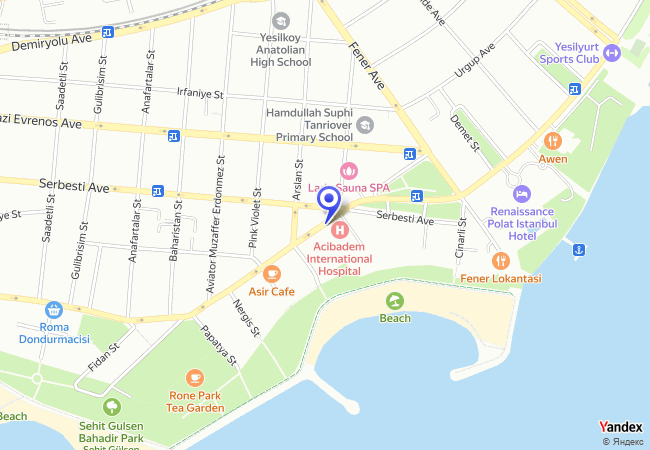 0257 Yeşilköy İstanbul Caddesi