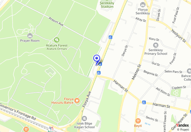 0287 Florya Havuzlu Bahçe 0287 Florya Havuzlu Bahçe