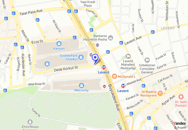 0490 Levent Dedekorkut Sokak (ESKİ G-43 )