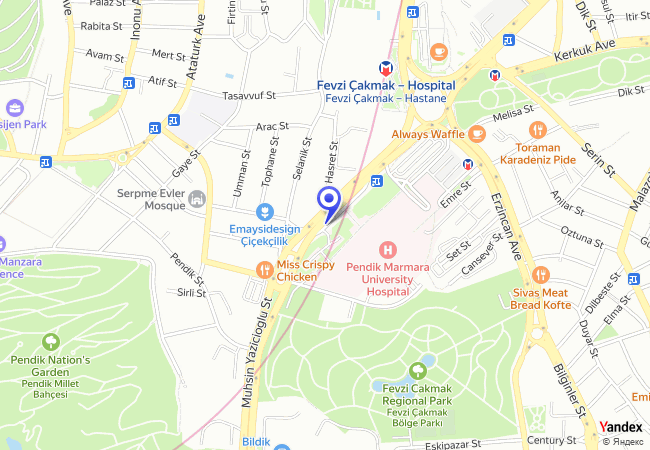 0659 Marmara Üniversitesi Pendik Eğitim Ve Araştırma Hastanesi Önü Taksi Durağı 0659 Marmara Üniversitesi Pendik Eğitim Ve Araştırma Hastanesi Önü Taksi Durağı