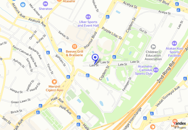 0821 Ataşehir Ihlamur Sokak 0821 Ataşehir Ihlamur Sokak