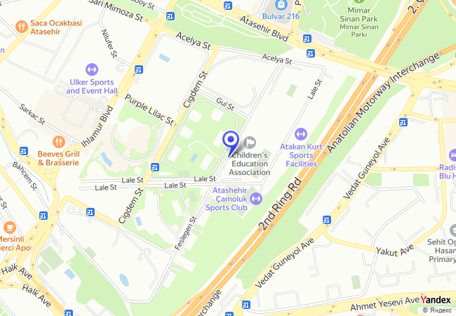 1658 Ataşehir Fesleğen Sokak 1658 Ataşehir Fesleğen Sokak