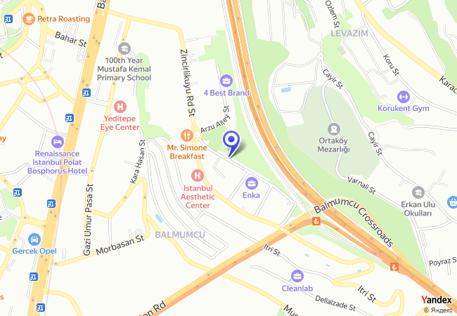 1668 Beşiktaş Mecidiye Mah. 447 Ada 30 Parsel Kuzeyi 1668 Beşiktaş Mecidiye Mah. 447 Ada 30 Parsel Kuzeyi