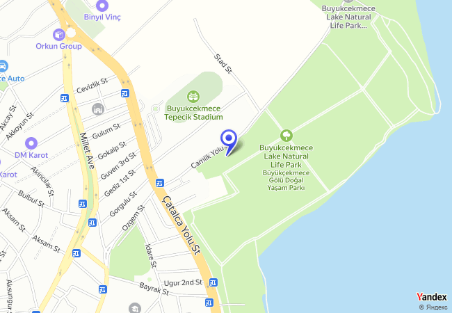 1767 Büyükçekmece Gölü Açık Otoparkı 2